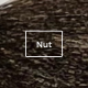 Nut